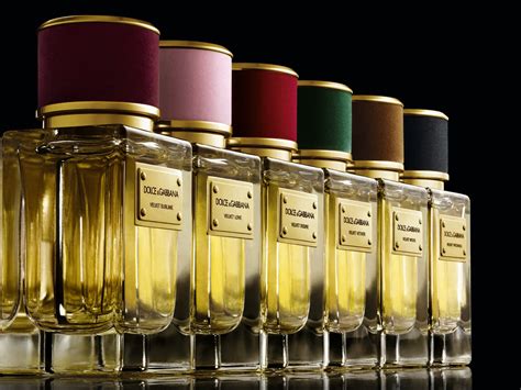 collection velvet dolce gabbana